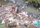 ADVIERTEN MASIVA PRESENCIA DE BASURA Y AGUAS RESIDUALES