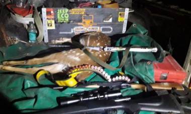 Sauce: Decomisaron armas para caza y animales silvestres