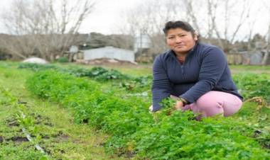 Con inscripción libre y gratuita, INTA lanza un nuevo curso virtual sobre agroecología