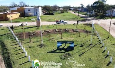 Mejoramiento del Acceso a Sauce.