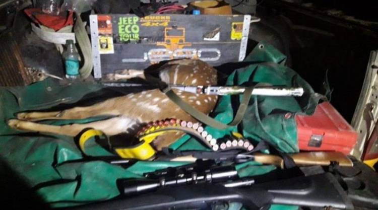 Sauce: Decomisaron armas para caza y animales silvestres