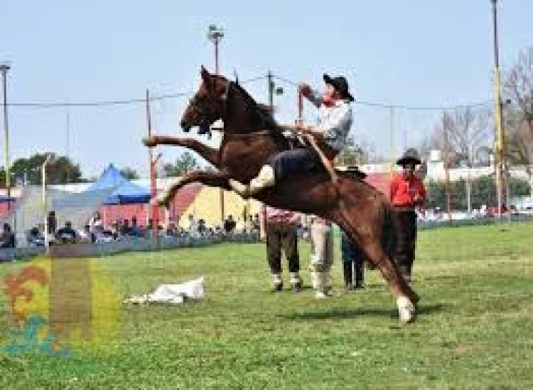 Se vivirán 3 noches de jinetada y canto en el 51º Festival de Doma y Tradición