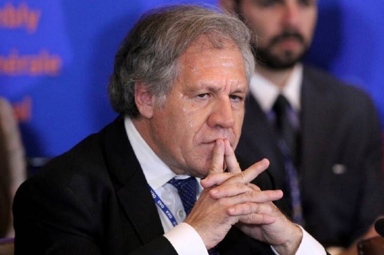 Luis Almagro en la OEA