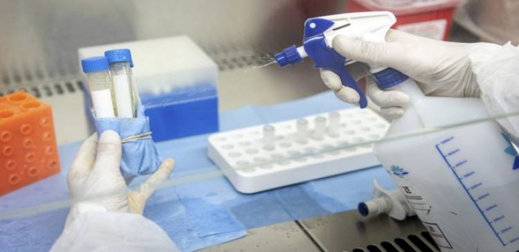 Investigadores lograron secuenciar el genoma completo SARS COV-2
